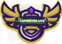TOPSERVER.png