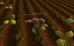 WoWScrnShot_052423_202226.jpg